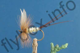 Flying Caddis