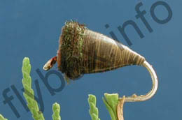 Snail