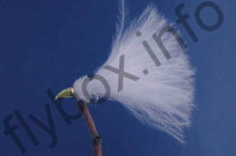 Cat's Whisker Nomad