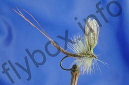 Wonder Wing Mayfly