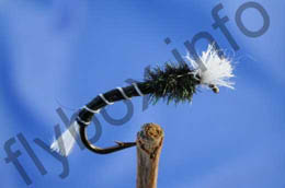 Hatching Buzzer