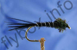 Peacock and Black
