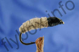 Suede Nymph