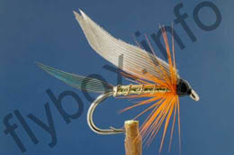 Kingfisher Bucher Grey Wing