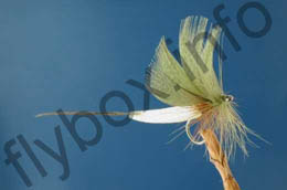 Detached Body Mayfly Green