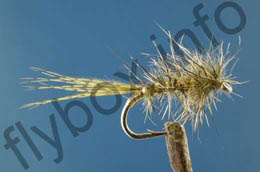 Morgan's Olive Hare's Ear