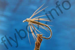Yellow Legged Bloa