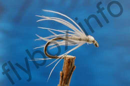 Starling Bloa