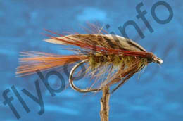 Red Tailed Invicta