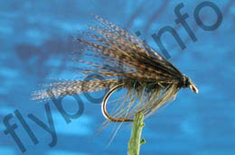 Sooty Dabbler