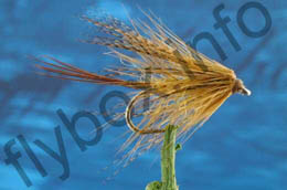 Golden Olive Dabbler