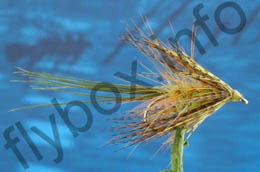 Insect Green Dabbler