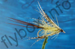 Yellow Widgeon Mayfly