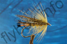 Bright Yellow Olive