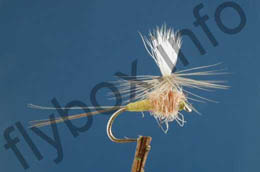 ParachuteTups' Indispensable