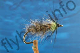 Caddis Larva