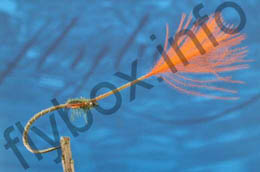 Parasol Buzzer