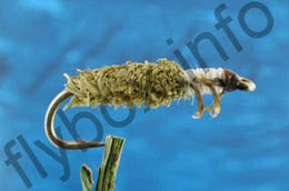 Olive Cased Caddis