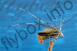 Elite Sedge Pupa