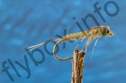 Baetis Nymph