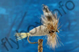 Rat Faced Irrisistible