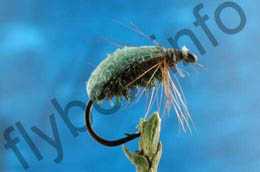 Green Beetle