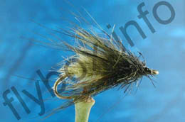 Hairy Olive Caddis Larva