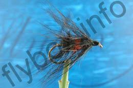 Hairy Bibio
