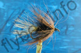 Hairy Kate McLaren