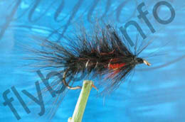 Hairy Black Matuka