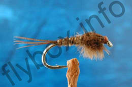 Collyer's Brown Nymph