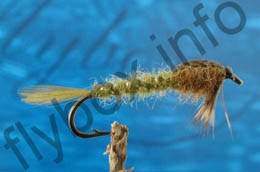 Damsel Nymph