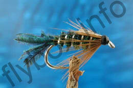 Zug Bug