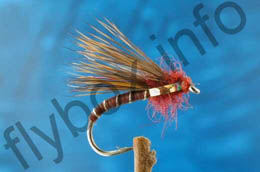 Claret Half Hog