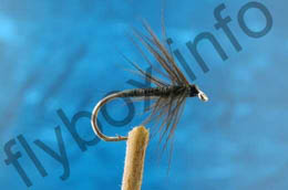 Stewart's Black Spider