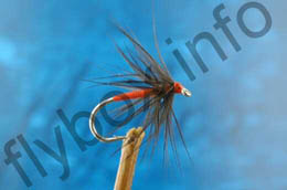 Red and Black Spider