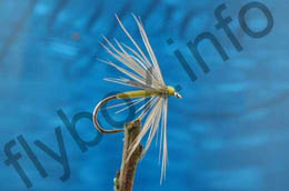 Waterhen and Yellow