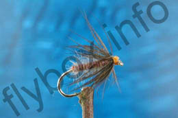 Dark Watchet