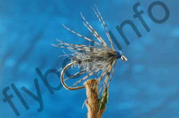 Blue Partridge