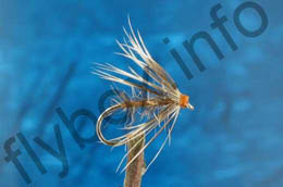 Light Pheasant Spider