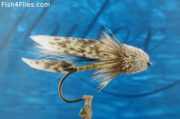 Muddler Minnow