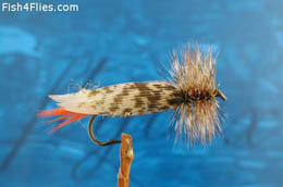 Joe's Hopper