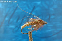 Sedge Pupa