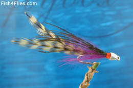 Trout Deciever