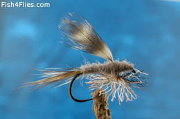 Poly Yarn Hackled Adams