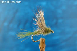 Olive Baetis Sparkle Dun