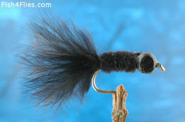 Hern's Tadpole