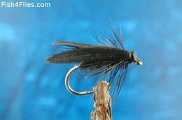 Black Slow Water Caddis