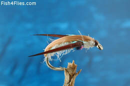 Spectral Bug Pearl