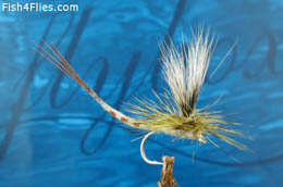 Mayfly Para